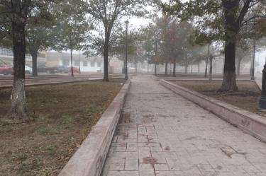 Impacto del Frente Frío 29 en Coahuila y Durango: Pronóstico para Torreón y Saltillo el 20 de Enero